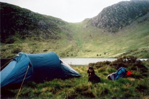 dog camping