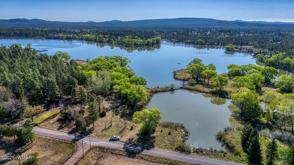 Aerial view of lakes surrounded by pine forest