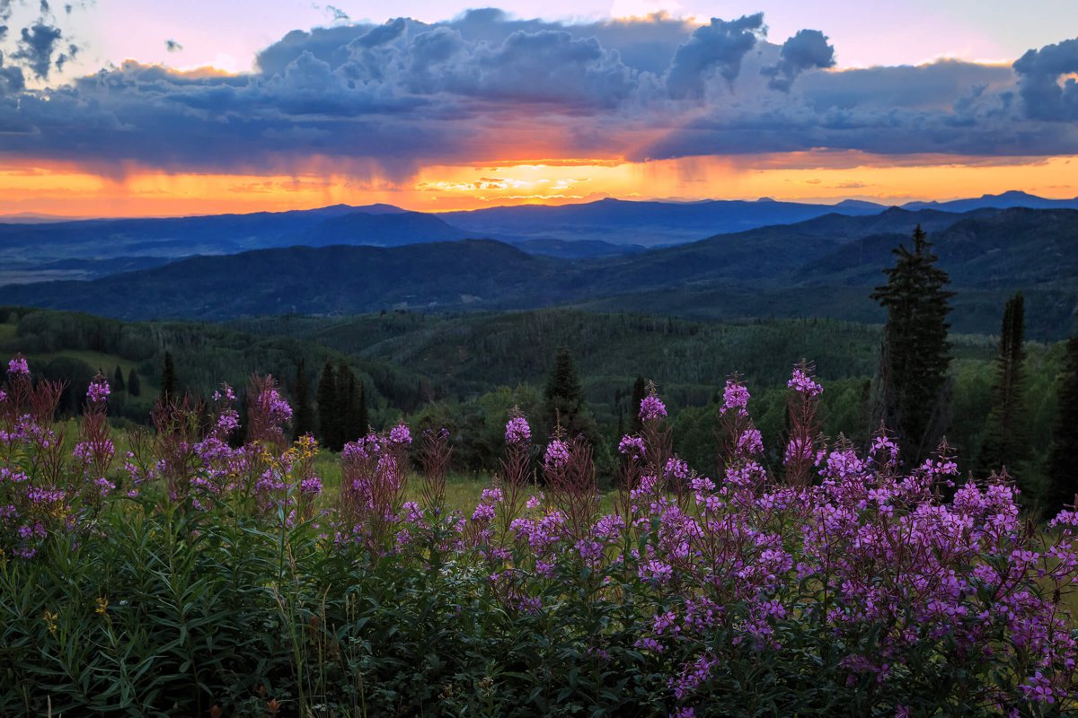 Buying real estate in Steamboat Springs