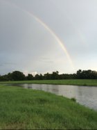 Granger TX Ranches For Sale Rainbow