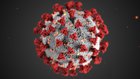 coronavirus florida keys real estate 2020