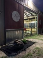 Shannon Stables across from The Conservancy