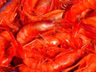 seafood in louisiana