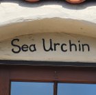 Sea Urchin in Carmel