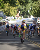 Tour de Francis bike 