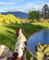 Rio Rancho Luxury Home