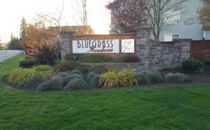 Bluegrass Meadows