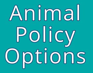 Jacksonville New Listings Animal Policy Options