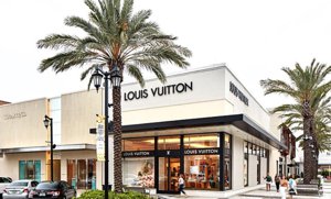 Jacksonville New Listings Louis Vuitton Shopping