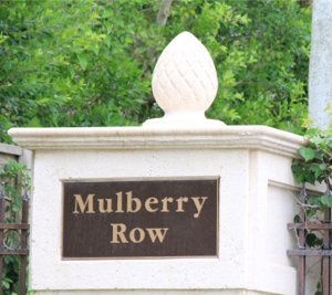 Fiddler's Creek Mulberry Row Home Search