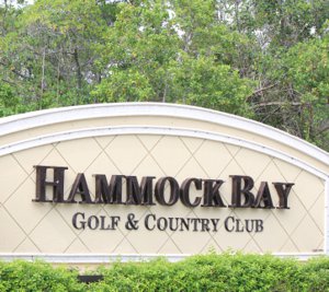 Hammock Bay Homes