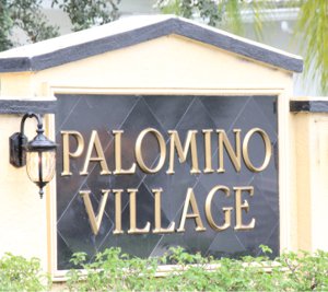 Lely Resort Palomino Village Home Search