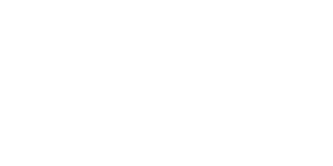 Boca New Listings Logo Alina Schwartz