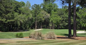 Belfair golf course