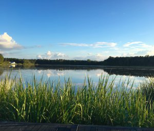 Moncks Corner SC Homes For Sale