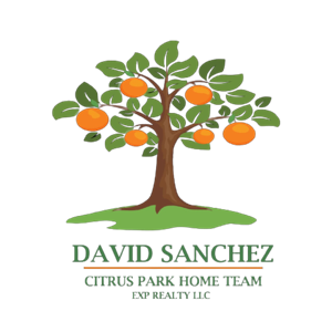 David Sanchez, Realtor