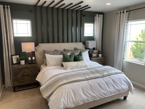Taylor Morrison Sky Ranch Aurora CO Model Home Master Bedroom