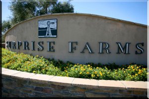surprise farms for sale, desert home premier