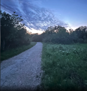 Mary Moore Mixed Use Trail