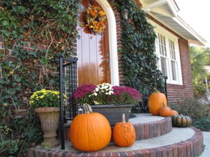 Autumn in Pensacola