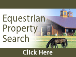 Florida horse property for sale.