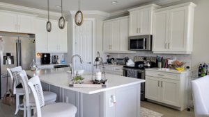 Naples Reserve homes for sale