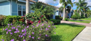 Naples Resreve homes for sale
