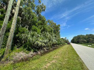 Green Blvd building lot for sale