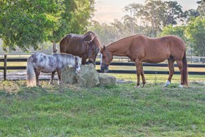 6050 Stringfellow Rd, St. James City FL 33956