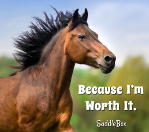 Florida horse property for sale.