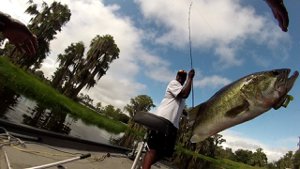 Fishing on Clermont Chain of Lakes