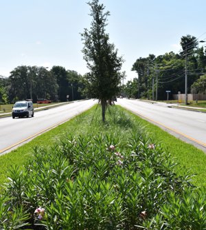 Old Winter Garden Road in Gotha Florida