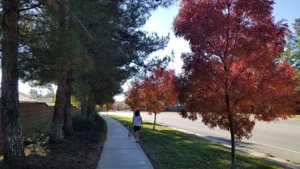 Oak Valley Greens in Beaumont, California