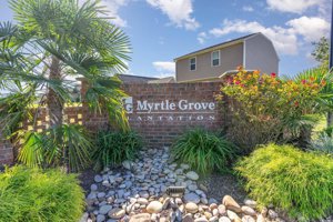 Myrtle Grove Plantation Homes for Sale