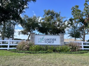 Lakeside Forest Homes For Sale Tavares