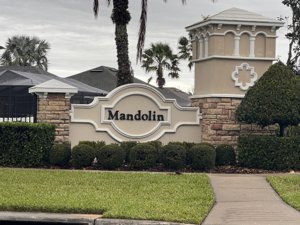 Homes For Sale in Mandolin