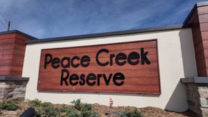 Peace Creek Preserve Homes For Sale Sign