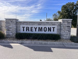 Homes for Sale in Treymont Lakeland