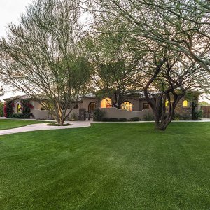 The Homes Along Central Avenue