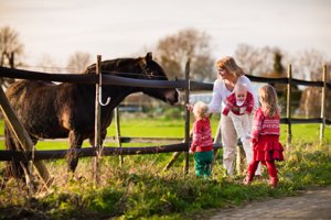 Equestrian Property