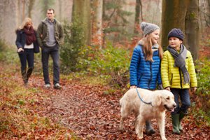 Greenbay Forest Nature Trails in Mooresville