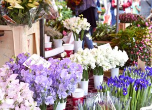 Davidson Farmers Market Floral Display and Sales