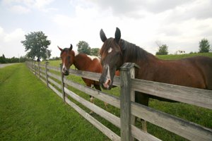 Homes for Sale in Equestrian Communities