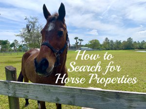 10-Acre Homesite in the Equestrian Community of Sarasota Ranch Club, Sarasota, Manatee County, Florida