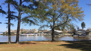 Brandon MS Homes for Sale