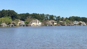 Brandon MS Homes for Sale Brandon MS 39047
