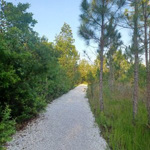 Laureate Park biking, running and walking trail in the Lake Nona area