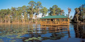 Water's Edge Neighborhood Dock