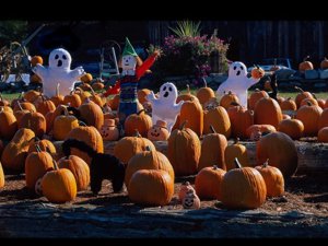 Happy Halloween - Loving Phoenix Team