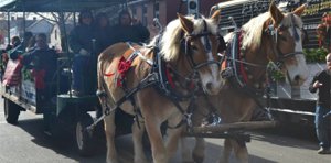 Springboro Ohio Christmas Festival